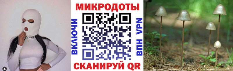 где найти наркотики Ужур Галлюциногенные грибы Magic Shrooms